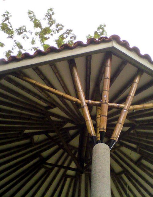 IMG00769-20120121-0941_1_9_11zon