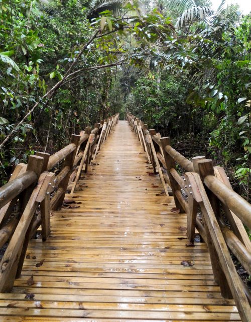 P_20161221_083424_edit1_3_11zon