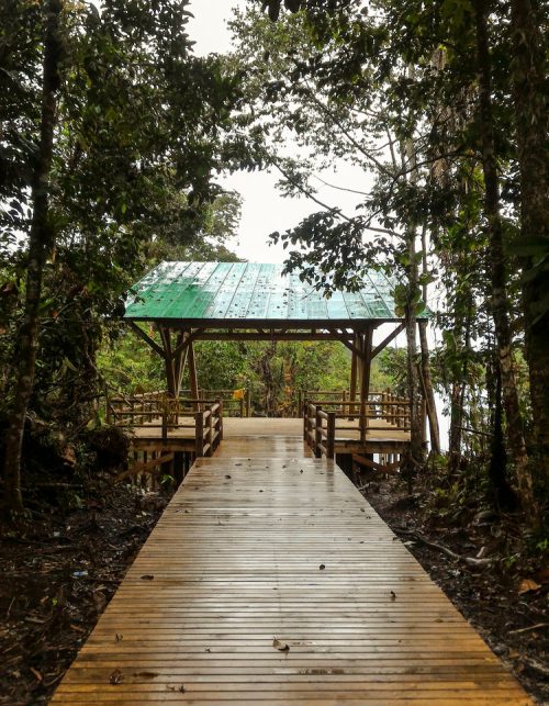 P_20161221_083902_edit1_6_11zon