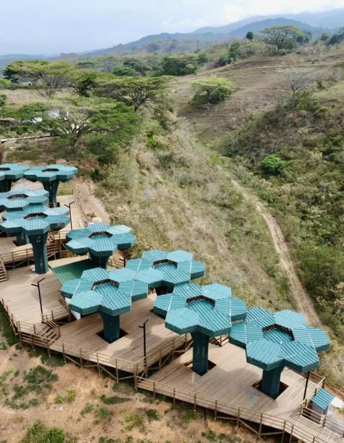 WhatsApp Image 2024-06-13 at 12.12.38 PM (6)_5_11zon