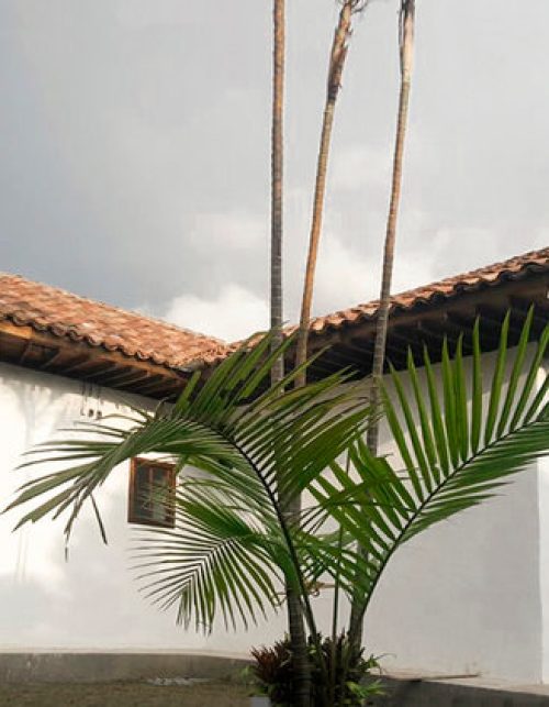 principales+(5)_13_11zon